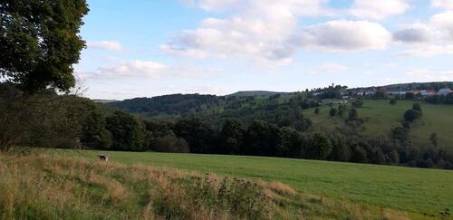 Foto - andere in Seiffen/Erzgebirge