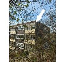 Schöne & ruhige 87 qm Wohnung in Weidenau-Waldsiedlung ab 01.06. - Siegen