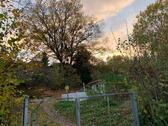 Foto - Grundst&uuml;ck in Bad Arolsen