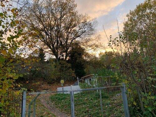 Foto - Grundst&uuml;ck in Bad Arolsen
