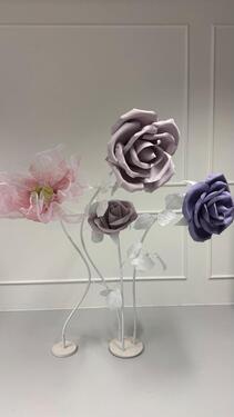 Foto - andere in Konstanz zur Miete