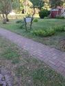 Foto - Einfamilienhaus in Wolgast