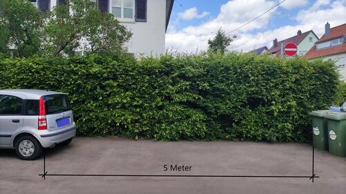 Foto - Außenstellparkplatz Hofparkplatz