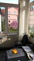 Foto - Etagenwohnung in Hameln zur Miete