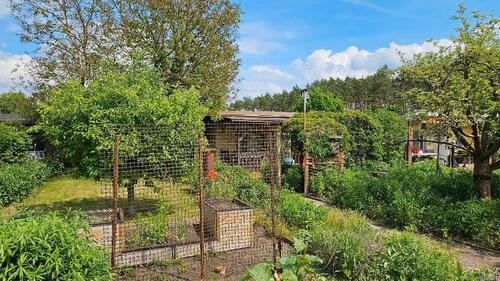 Foto - Garten mit massiver Gartenlaube, sofort nutzbar