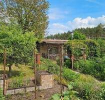 Garten mit massiver Gartenlaube, sofort nutzbar - Premnitz