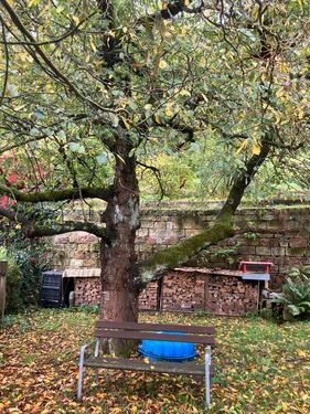 Foto - Einfamilienhaus in Meißen