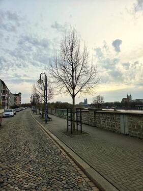 Foto - 3 Zimmer Erdgeschoßwohnung zur Miete in Magdeburg