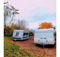 Stellplatz für WohnwagenWohnmobil zu vermieten - Hockenheim