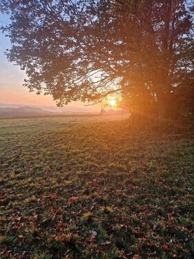 Foto - Ferienwohnung auf Pferdehof - 90,00&nbsp;EUR Kaltmiete,