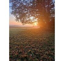 Ferienwohnung auf Pferdehof - 90,00&nbsp;EUR Kaltmiete, in Sankt Katharinen (PLZ: 53562)