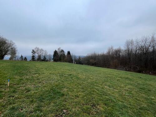 Foto - Wiese in Lügde zur Freizeitnutzung