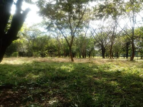 Foto - andere in Gorleben zur Miete