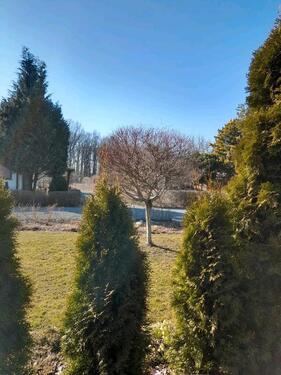 Foto - Grundst&uuml;ck zur Miete in Stollberg (Erzgebirge)