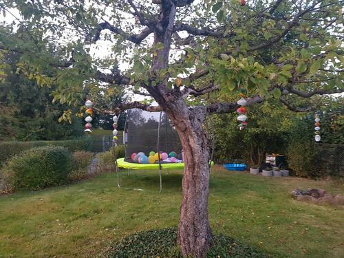 Foto - Grundst&uuml;ck in Stollberg (Erzgebirge) zur Miete