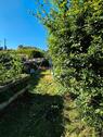 Foto - pachtgarten BaumBlüte - 2.000,00 EUR Kaltmiete, ca.  0,00 m²