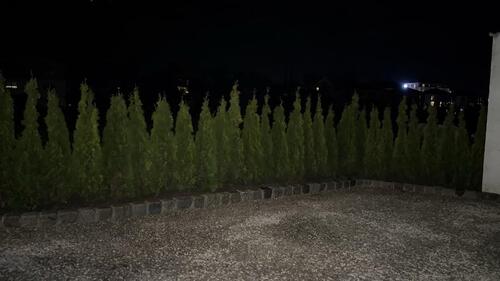 Foto - Einfamilienhaus in Gachenbach zur Miete