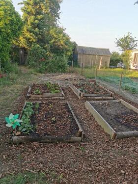 Foto - Grundst&uuml;ck zur Miete in Greifswald