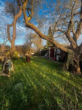 Foto - Grundst&uuml;ck in Greifswald zur Miete