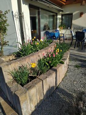 Foto - Einfamilienhaus in Lalling