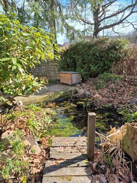 Foto - Grundst&uuml;ck zum Kaufen in Rochlitz