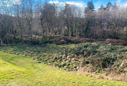 Foto - Weidefläche, Gartengrundstück - 100,00 EUR Kaltmiete, ca.  0,00 m²