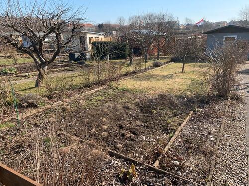 Foto - Grundst&uuml;ck in Dresden