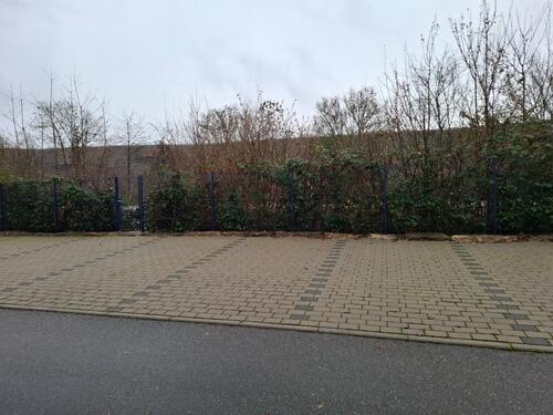 Foto - andere in Lauffen am Neckar