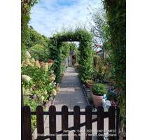 Kleingarten zu verpachten - 2.800,00&nbsp;EUR Kaltmiete, ca.&nbsp; 0,00&nbsp;m&sup2; in Wesel (PLZ: 46483)