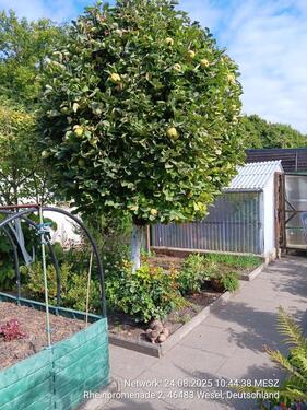 Foto - Grundst&uuml;ck in Wesel