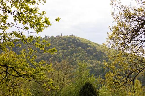 Foto - Grundstück mit großem Potenzial in idyllischer Hanglage in Neckar