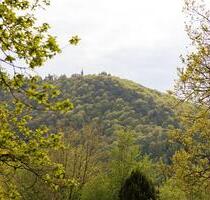 Grundstück mit großem Potenzial in idyllischer Hanglage in Neckar - Neckarsteinach