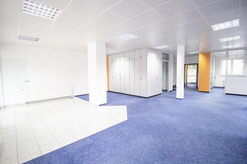 Foto - andere in Ostrach