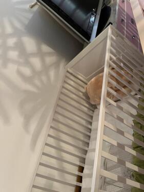 Foto - Etagenwohnung in Freigericht zur Miete