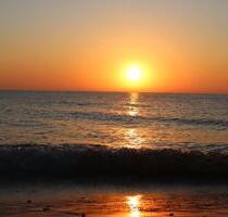 Ferienwohnung im Ostseebad Prerow – Südbalkon, Top Lage, 2 Pkw-Stellplätze, WLAN - Sylt