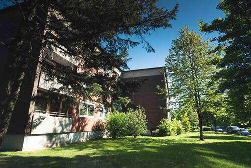 Foto - 3 Zimmer Etagenwohnung zur Miete in Geesthacht