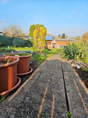 Foto - Grundst&uuml;ck zur Miete in Ahorn