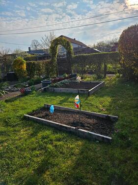 Foto - Grundst&uuml;ck in Ahorn zur Miete
