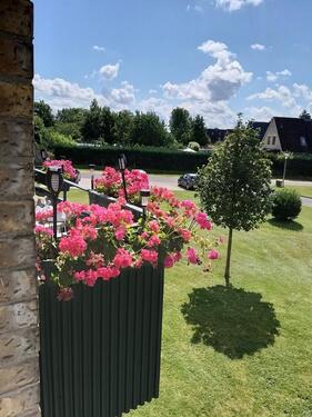Foto - Schöne 3 Zimmer Wohnung in ruhiger und sozialer Lage