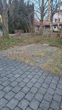 Foto - andere in Friedrichshafen