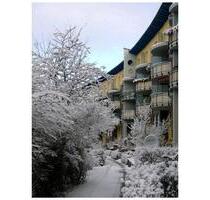 Rollstuhlgerechte WBS Wohnung ab sofort - Berlin Treptow-Köpenick