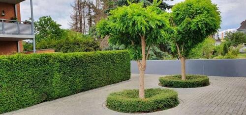 Foto - 3.5 Zimmer Etagenwohnung in Braunschweig