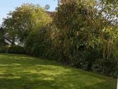 Foto - 5 Zimmer Doppelhaushälfte in Gäufelden