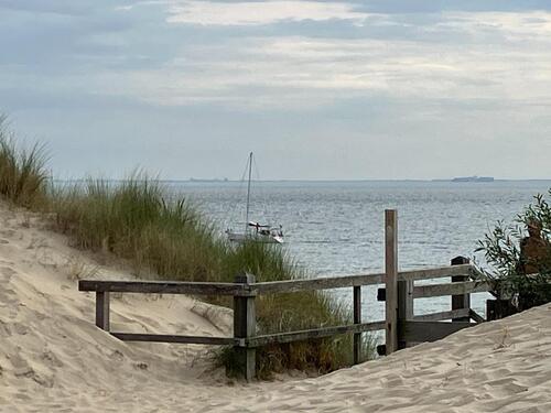 Foto - Gemütliches Apartment, NL, Nordsee, strandnah, Hund willkommen