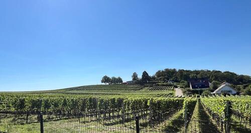 Foto - 5 Zimmer Einfamilienhaus in Vogtsburg im Kaiserstuhl