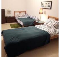 Lu: Möbliertes 2 Zimmer-Apartment mit traumhafter Aussicht - Mannheim