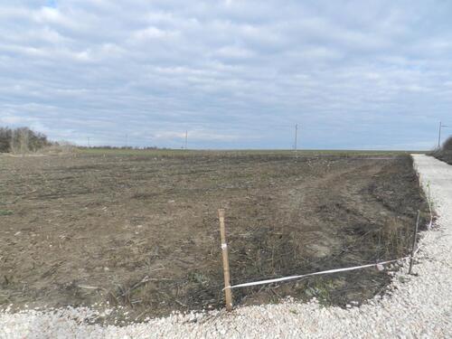 Foto - andere in Rust