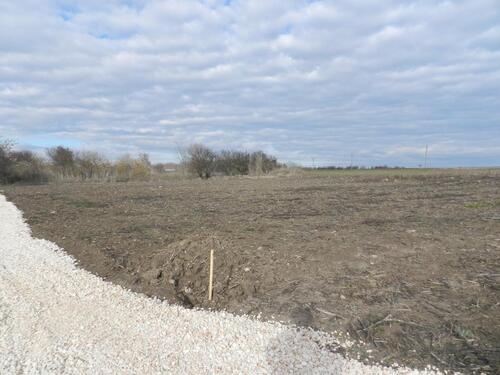 Foto - andere in Rust zur Miete