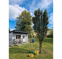 Kleingarten - 50,00&nbsp;EUR Kaltmiete, ca.&nbsp; 0,00&nbsp;m&sup2; in Brand-Erbisdorf (PLZ: 09618)