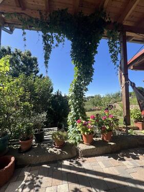Foto - Einfamilienhaus mit Terrasse und Garten in Wolfhagen-Kernstadt